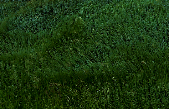 Descrizione della GIF